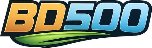 bd 500 home logo for Bangladesh users